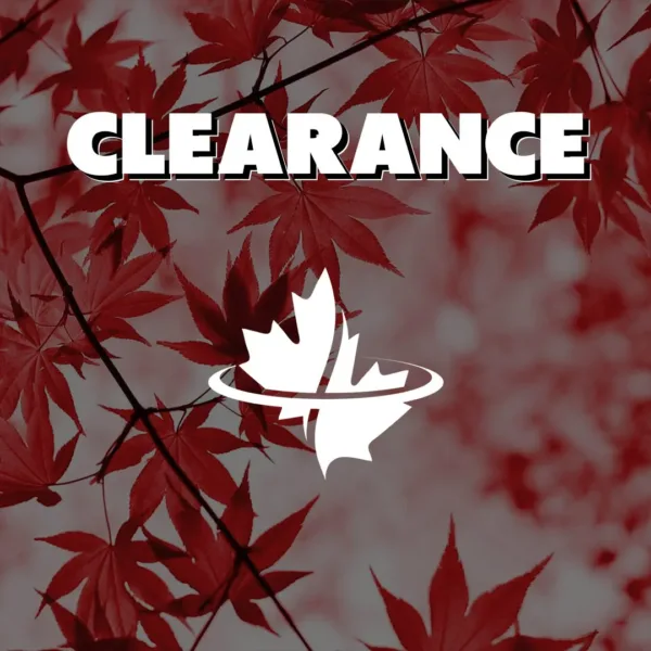 All Clearance